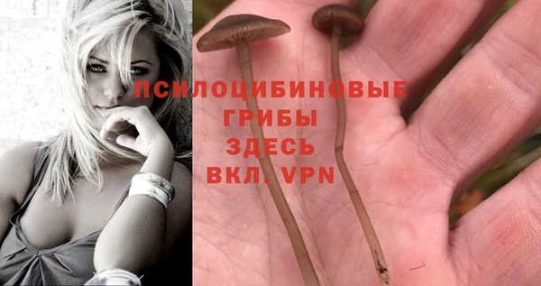 дурь Бородино