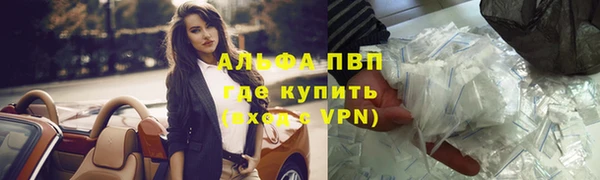 дурь Бородино