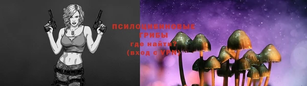 дурь Бородино