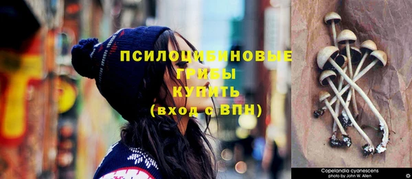 дурь Бородино