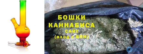 дурь Бородино