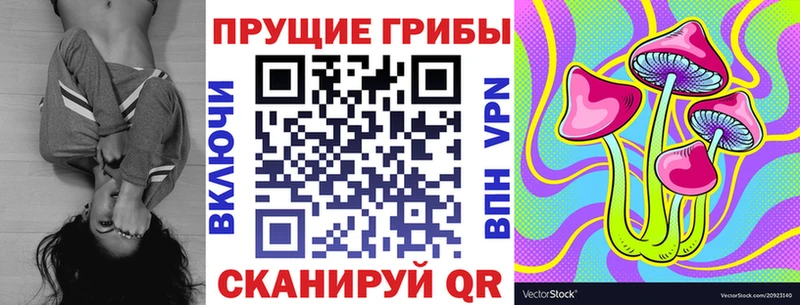 дарнет шоп  Волжский  kraken онион  Галлюциногенные грибы Psilocybine cubensis 